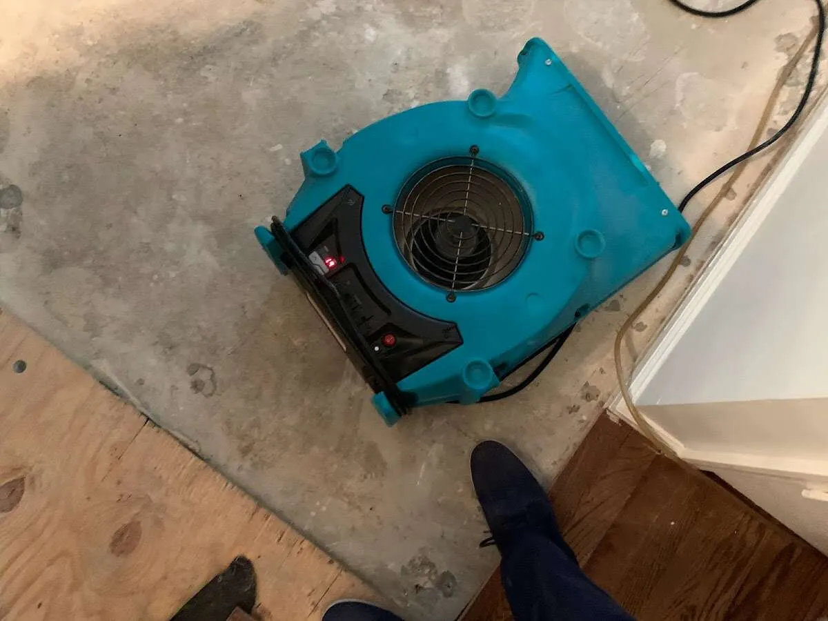 Air mover drying subfloor during Commercial Water Damage Restoration in Chelsea